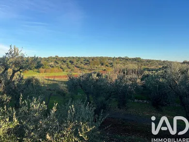 Terreno agricolo in Ostuni