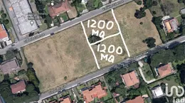 Land in Anzio