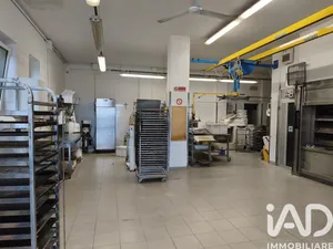 Panificio in Sant'Elpidio a Mare