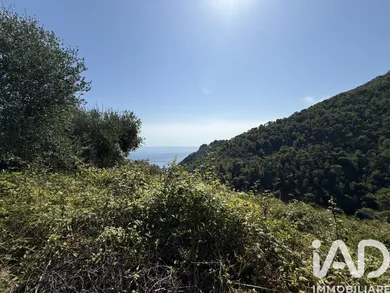 Land in Ventimiglia