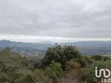Terreno in Olbia