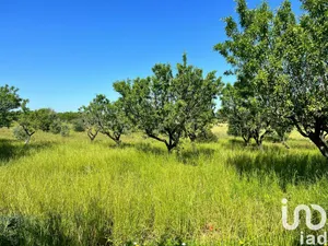 Terreno in Ostuni