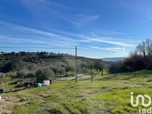 Terreno in Notaresco