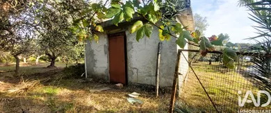 Terreno in Falerna