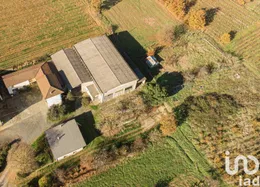 Villetta a schiera in Carpeneto