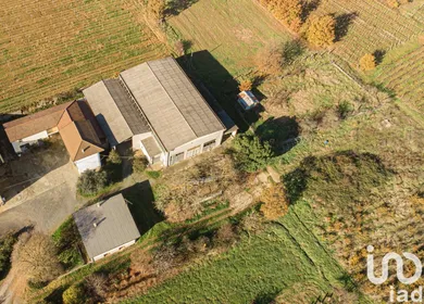 Villetta a schiera in Carpeneto