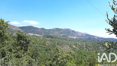 Terreno in Vendone