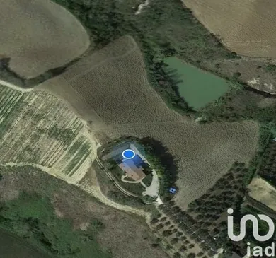 House in Pineto