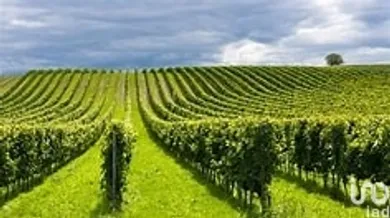 Terreno agricolo in Cavriana