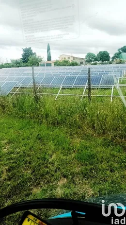 Terreno in Magliano in Toscana
