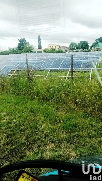 Terreno in Magliano in Toscana