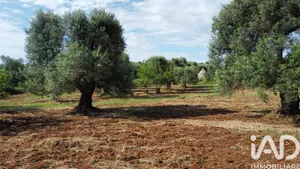 Rustico in Ceglie Messapica