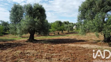 Rustico in Ceglie Messapica