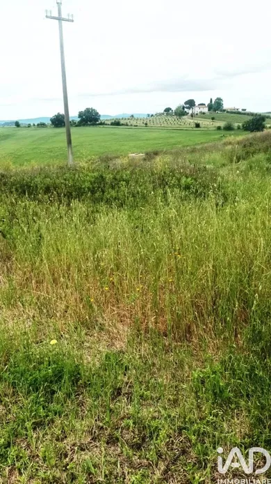 Terreno in Scansano
