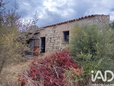 Terreno in Arzachena