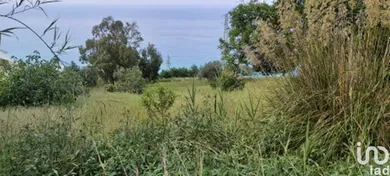 Terreno in Amantea