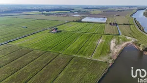 Terreno agricolo in Goro