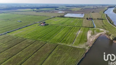 Terreno agricolo in Goro