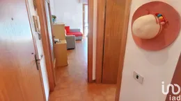 Bilocale in Rosignano Marittimo