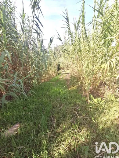 Terreno in Francavilla al Mare