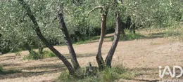 Land in Firenze