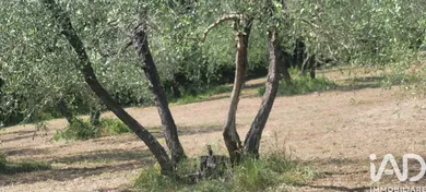 Terreno in Firenze