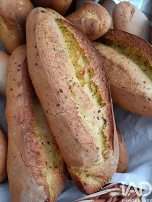 Bakery in Monte San Giusto