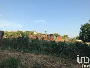 Building plot in Amantea