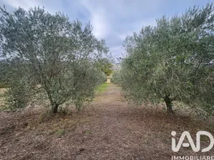 Land in Montegiorgio