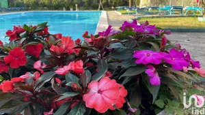 Appartamento in Arenzano