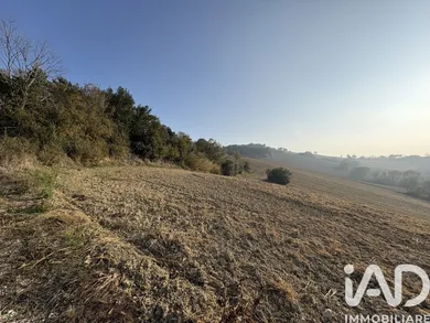 Terreno agricolo in Montecosaro