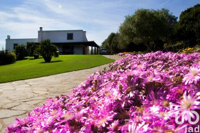 House in Carloforte