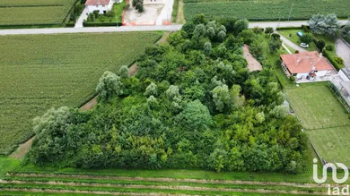 Land in Pramaggiore