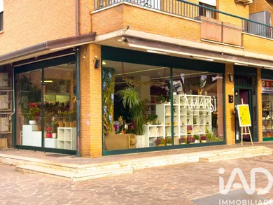 Business premises in Assisi