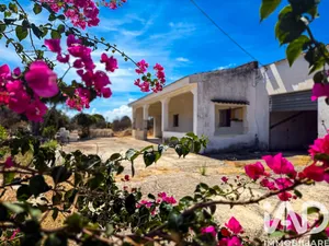 House in Carovigno
