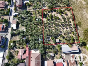 Land in Rossano