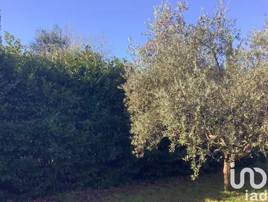Terreno agricolo in Pistoia