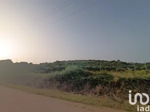 Terreno in Olbia