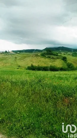 Terreno in Magliano in Toscana