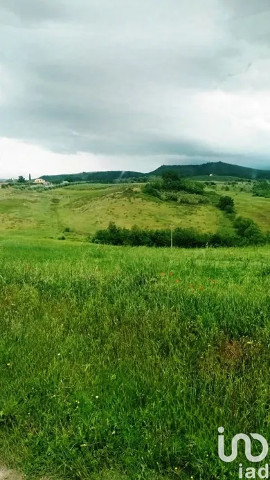 Terreno in Magliano in Toscana