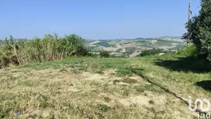 Terreno in Cossignano