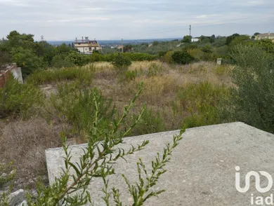 Terreno in Sassari