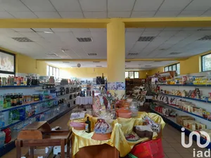 Shop/Premises commercial in Castellalto