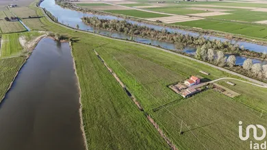 Terreno agricolo in Goro