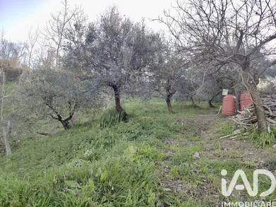 Land in Staffolo