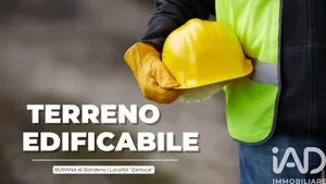 Terreno in Bondeno