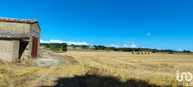 Terreno agricolo in Pitigliano
