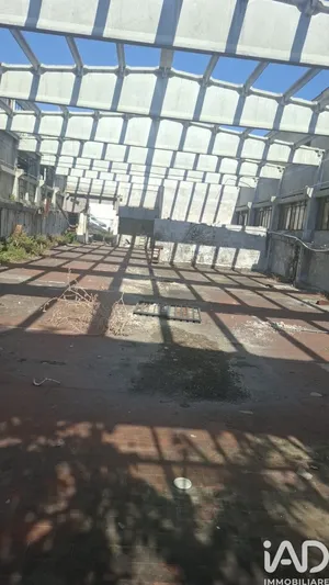 Capannone in Ancona