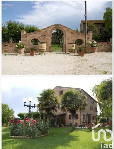 Cascina / Fattoria in Treia