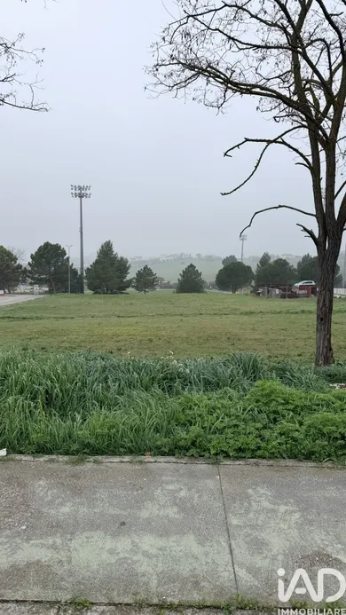 Land in Montegranaro